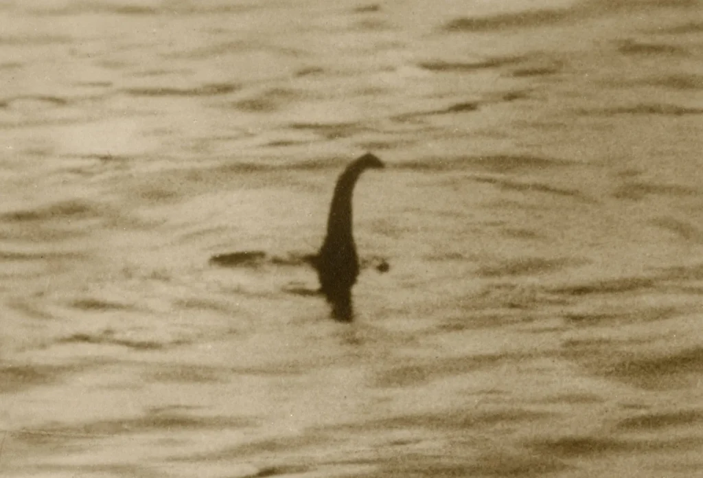 Stará fotografia Nessie, ktorá sa vynára na hladinu. Vidno jej dlhý krk a hlavu.